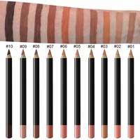 Nouvel Arrivage – Crayon à Lèvres Végétalien Imperméable en Gros, Facile à Appliquer, Longue Tenue, pour un Contour des Lèvres Parfait