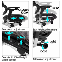 Chaise de bureau exécutive pivotante en maille confortable avec accoudoirs, chaise de bureau ergonomique pivotante avec soutien lombaire