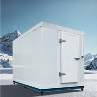 Refrigerador de almacenamiento Refrigerador portátil Refrigerador móvil