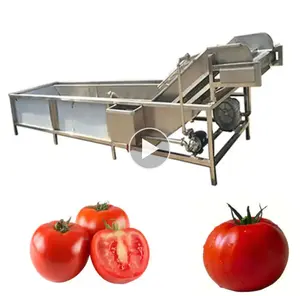 Malaysia High Efficiency Industrial Dates Washing Ozone Citrus Fruit Vegetable Washer And Cleaner Machine