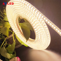 Atenuador exterior de alta calidad 220V SMD2835 120LED/M Dreamcolor Light Strings IP65 impermeable para Touch/App/Control remoto