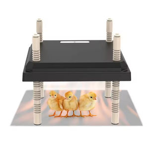 Couveuse de poussins de chauffage de <span class=keywords><strong>poulailler</strong></span> d'élevage pour Cage d'élevage d'oiseaux de canard de caille de Chik - Product Image 3