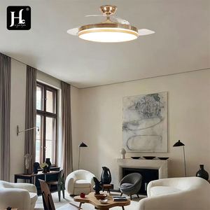 Variable frequency <b>remote</b> <b>control</b> <b>ceiling</b> fan indoor decoration fan Dc motor invisible Bldc <b>ceiling</b> fan with LED <b>light</b> - Product Image 4
