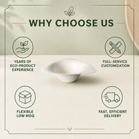 Tazón de Helado Compostable de Bagazo de Caña de Azúcar, Tazón Ovalado Ecológico Desechable para Postres, para Fiestas, Picnics, Cafés, Comida para Llevar, Alimentos Congelados