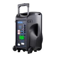 Haut-parleur de karaoké portable actif de 12 pouces, batterie Li 7,4 V 2200 mAh, vente chaude, bonne qualité, haut-parleur audio PA DJ