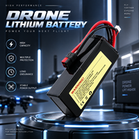 Baterai Drone LiPo Tegangan Tinggi 30Ah Smart Balance Charging, Pengganti untuk Baterai RC Drone Kecil DJI yang Dapat Diisi Ulang