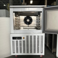 Máquina de Producción de Helados en Gel de Congelación Rápida -40 ° Congelador Comercial de Congelación Rápida para Moldes de Silicona 3D para Helados