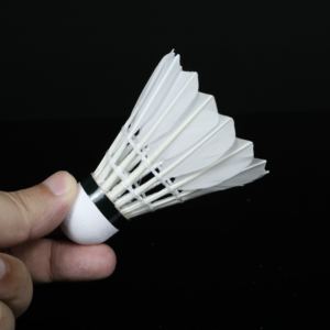 Shuanglang SL09 cầu lông cầu lông ổn định bay cầu lông độ bền tuyệt vời VỢT CẦU LÔNG cho đào tạo - Product Image 3