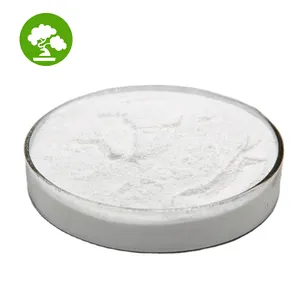 High Quality Lactobacillus Crispatus Probiotic Supplement 10 billion CFU/g Lactobacillus Crispatus Powder