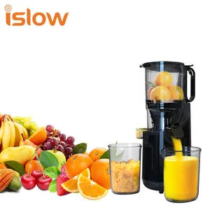 Slow Juicer Weizengras-Entsafter 200w Entsafter-Maschine für reines Obst gemüse