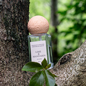 Ambientador de fragancia ligera de Perfume de aceite esencial de aromaterapia sin fuego de larga duración para juegos de difusores de caña de vidrio para hoteles - Product Image 3