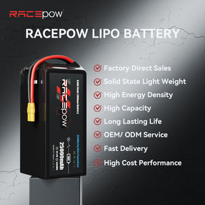Racepow 320Wh/kg 6S 25Ah 25000mAh 22.2V 高エネルギー密度固体リポバッテリーパック（貨物ドローン/産業用ドローン向け） - Product Image 6