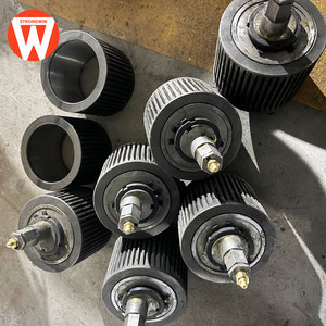 Henan Strong win Custom ized New Condition Ersatzteil walze für Pellet mühlen maschine - Product Image 4