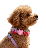 Accessoires de collier pour chien en silicone, breloques lettres colorées de dessin animé, haute élasticité, pour grandes races, lavables à la main, toutes saisons