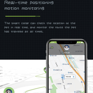 Collares Inteligentes Personalizados para Mascotas, Dispositivos de Monitoreo de Salud para Mascotas en el Hogar - Product Image 2