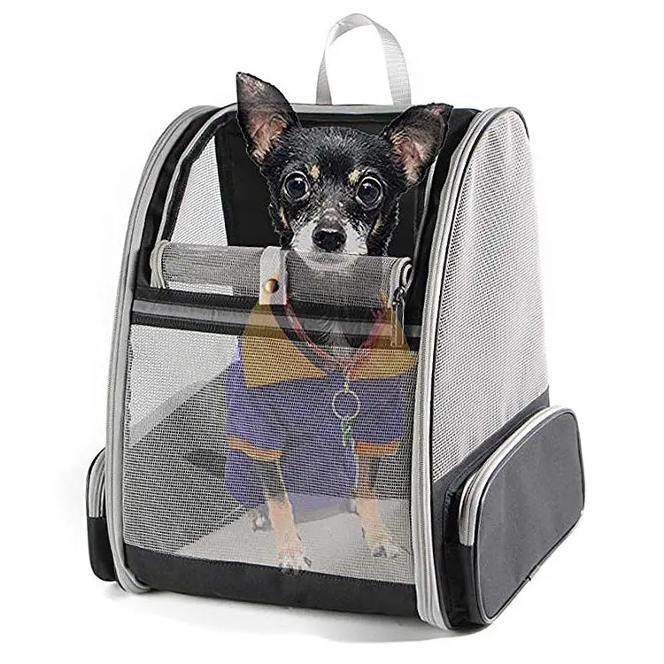 Fabrika satış yenilikçi gezgin kabarcık nefes sırt çantası taşınabilir Pet taşıyıcılar kediler ve köpekler için katlanabilir evcil hayvan çantası