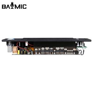 Módulo Amplificador de Potencia Profesional de 500W Clase D para Equipos de Sonido, Amplificadores, Altavoces y Sistemas de Sonido - Product Image 4