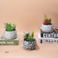 Vente en gros Pots de plantes de jardin Petits pots de fleurs en céramique avec fleur en plastique