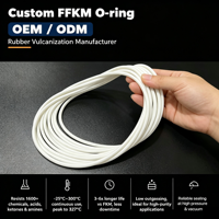 Joint torique FFKM pour la fabrication de semi-conducteurs, résistant aux températures extrêmes, ultra-résistant aux produits chimiques, haute pureté