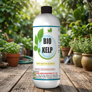 น้ำสาหร่ายทะเลออร์แกนิก BIO KELP ชนิดน้ำ ช่วยเร่งการออกดอก การเจริญเติบโตของผลไม้ และสีใบ ด้วยส่วนประกอบสำคัญ ฟูโคแซนธิน - Product Image 3