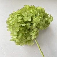 Penjualan Terbaik awet tunggal daun besar Hydrangea selamanya Hortensia Hydrangea bola bordir untuk dekorasi pernikahan