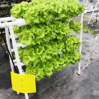 Système hydroponique miniature sans sol NFT Drip avec pompe pour une croissance rapide des plantes, utilisation domestique, agriculture intérieure
