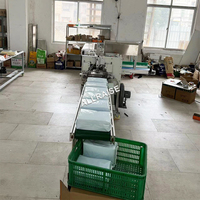 全自动机械宠物护理垫成人婴儿尿布卫生巾包装护理垫流量包装机