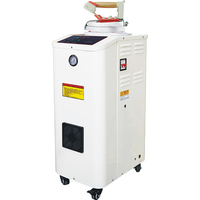 WD-ST-75 Ketel Uap Mini 1,5kw, Ketel Uap Pintar Tipe Ringan Bergerak Volume Kecil dengan Besi