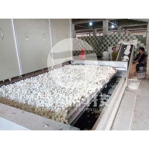 Essiccatore Industriale di Alta Qualità per Bozzoli di Baco da Seta - Product Image 3