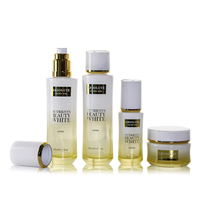 H 535 grosir Set rias wajah stoples krim mewah kustom pompa Losion kedap udara botol kaca kemasan perawatan kulit kosmetik