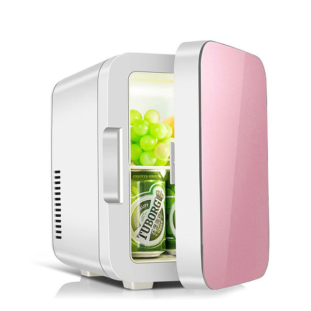 Wholesale 6L 12V DC 12V AC 110V Branded Household Beauty Skin Care Small Refrigerator Mini Fridge