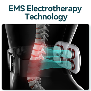 Profession elles Menstruation heizkissen Warmer Palast gürtel für die Schmerz linderung von Frauen in der Taille - Product Image 3