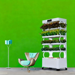 Sistema de Cultivo Hidropónico Inteligente de 5 Niveles - Capa Inferior Enfocada en Plántulas, Luces LED e Irrigación Automática Inteligente de Nutrientes - Product Image 4