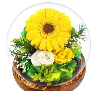 Rosa Eterna Decorativa Redonda <span class=keywords><strong>con</strong></span> Cubierta de Cristal Esférica, Regalo para Navidad y San Valentín - Product Image 4