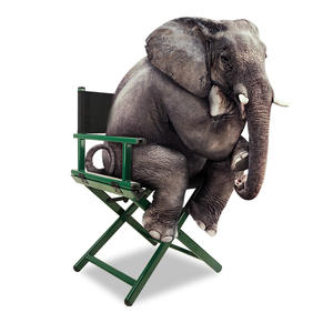 HOMFUL-Silla de aluminio plegable para árbitro de tenis, sillón de acampada, venta al por mayor - Product Image 2