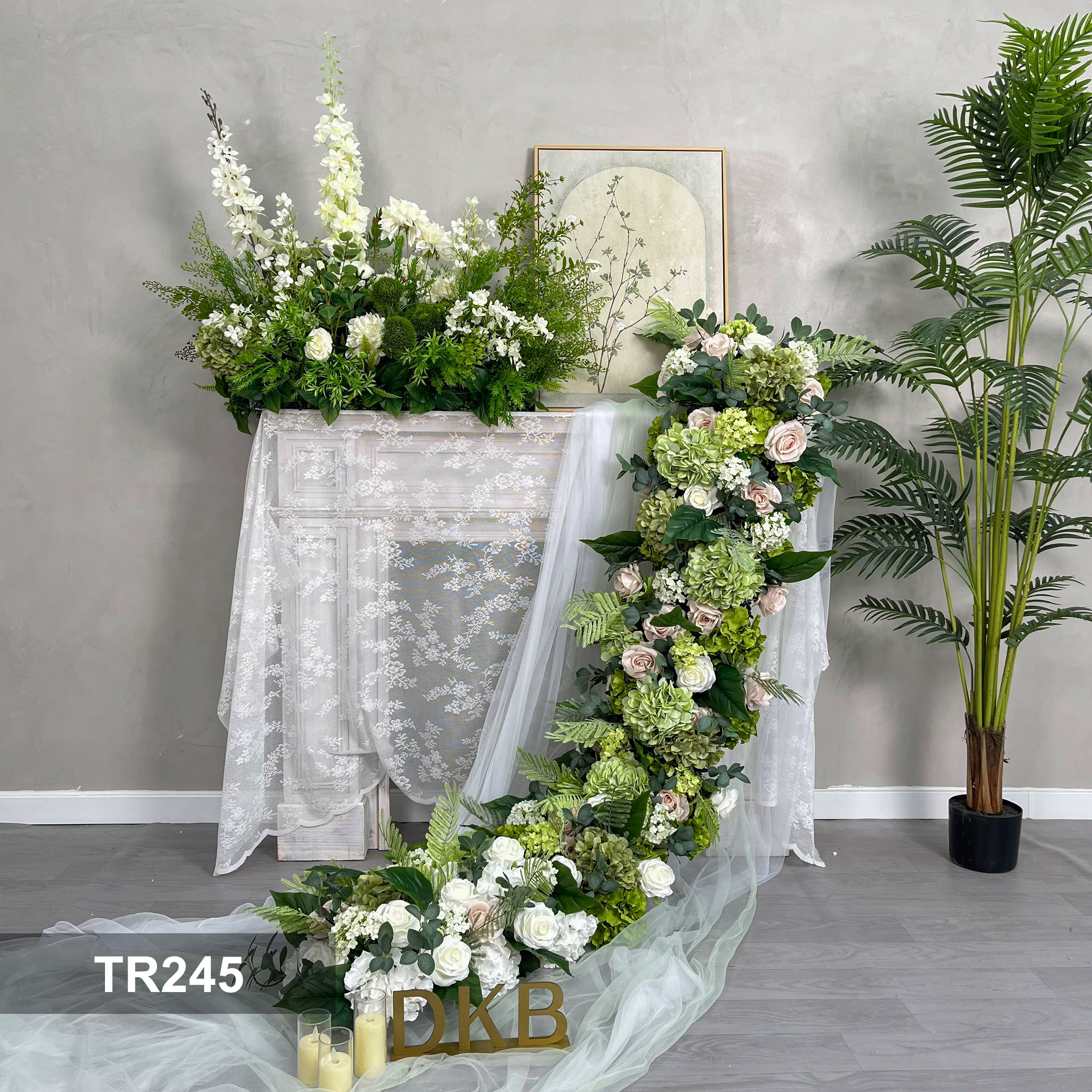 TR245-1