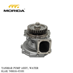 748616-43101 6LAK Conjunto de Bomba de Agua para YANMAR - Product Image 1