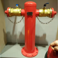Bouche d'incendie en mousse au sol extérieure de qualité supérieure Type de pilier DN100/150 pour système d'extinction d'incendie
