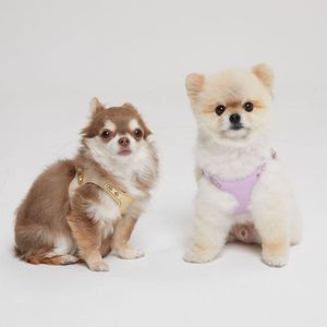 Arnés de Cuero Premium para Perros, Diseño de Moda, Acolchado, con Herrajes en Tono Dorado, Ajustable para Perros Pequeños y Medianos - Product Image 2