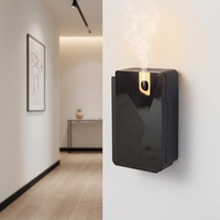 Diffuseur de parfum à grande capacité de batterie, type C, diffuseur d'huile parfumée, aromathérapie, diffuseur d'arômes mural, humidificateur