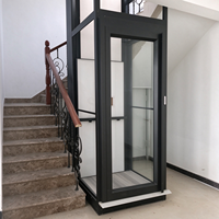 Ascenseur moderne de petite taille pour 1 à 2 personnes, plateforme lisse, ascenseur résidentiel pour passagers à vendre