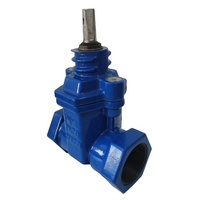 DIN femelle Npt Bspt joint souple vanne filetée DN15 DN20 DN25 DN32 DN40 DN50 PN10/PN16