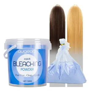 Produits de salon de Offres Spéciales teinture capillaire couleur blanc bleu professionnel poudre à blanchir pour cheveux