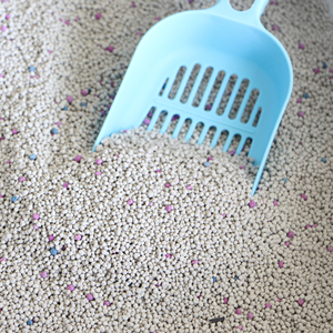 Dongnaipets bentonite ครอกแมวจับตัวเป็นก้อนได้อย่างรวดเร็วปราศจากกลิ่นควบคุมได้คุณภาพระดับพรีเมียม19L 4กก. - Product Image 4