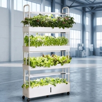 Système hydroponique vertical intelligent Tru-spring TSP 210 avec éclairage LED pour la culture, pompe à eau automatique, système d'irrigation aéroponique à 4 niveaux