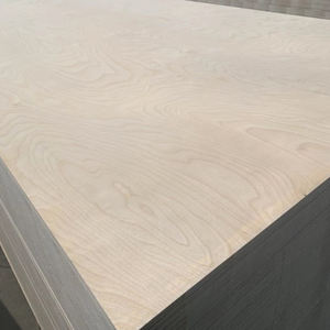 Placa <span class=keywords><strong>de</strong></span> <span class=keywords><strong>madera</strong></span> contrachapada fenólica <span class=keywords><strong>de</strong></span> abedul báltico ruso comercial <span class=keywords><strong>de</strong></span> 3mm 4MM 18mm para gabinetes <span class=keywords><strong>de</strong></span> cocina <span class=keywords><strong>Precio</strong></span> - Product Image 4