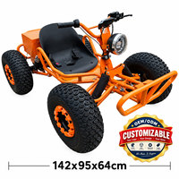 Kart électrique personnalisable, populaire, puissant, 1000W, 48V, capacité de charge de 150 kg, frein à disque hydraulique, pour loisirs en plein air