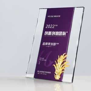 Trophée en cristal K9 personnalisable avec gravure laser, design étanche – Récompense moderne <span class=keywords><strong>verte</strong></span> et dorée pour l'honneur annuelle - Product Image 2