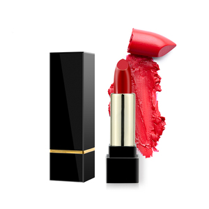 Private Label Custom 17 Color Square Tube Matte <b>Lipstick</b> Luxury Feminine Rouge - Product Image 2