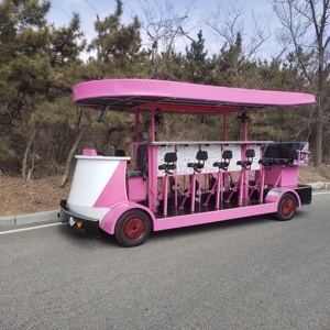 City Tour Bike 16 personnes équitation vélo <span class=keywords><strong>Tandem</strong></span> à vendre bière vélo fête 60V électrique <span class=keywords><strong>Cargo</strong></span> Tricycles Eec peinture en aérosol ouvert - Product Image 2